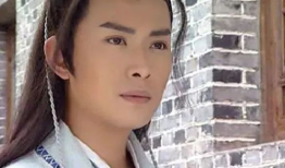 黄海冰电视剧大全,演绎传奇人生，诠释百态人生