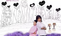 薰衣草电视剧演员表,倾情演绎的爱情传奇，众星云集的演员阵容